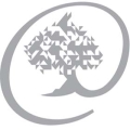 Braintree Logo Icon